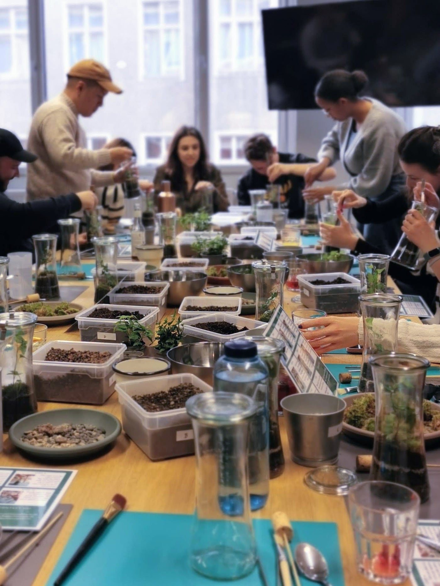 Petite Jungle — Terrarium workshops (1/8)