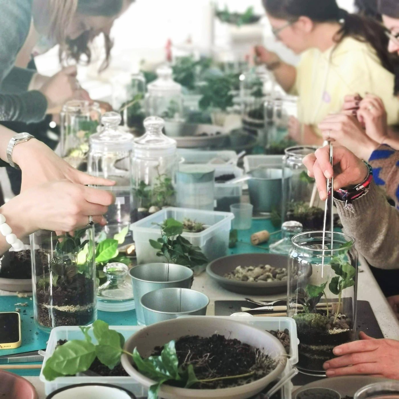 Petite Jungle — Terrarium workshops (2/8)