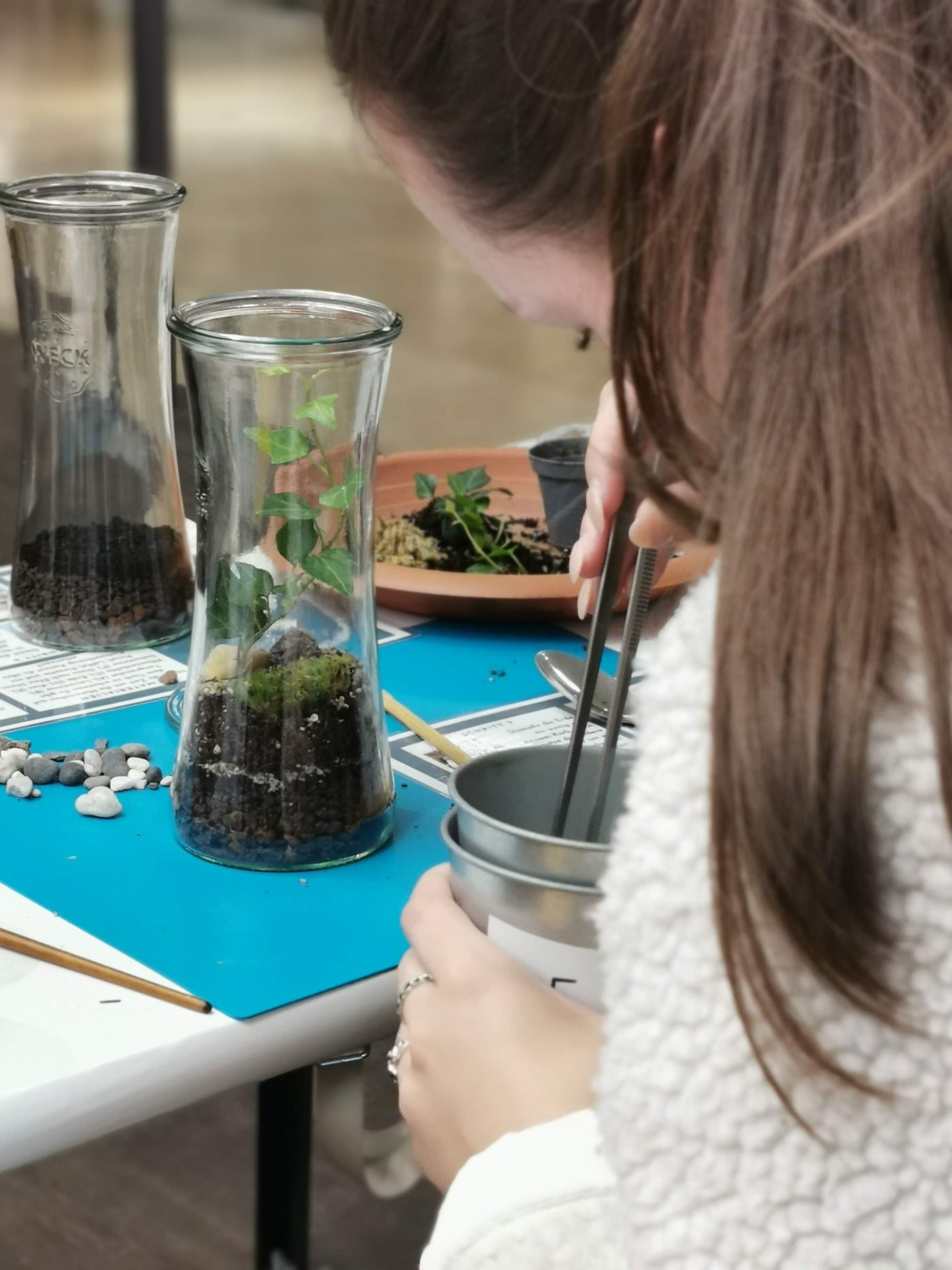 Petite Jungle — Terrarium workshops (4/8)