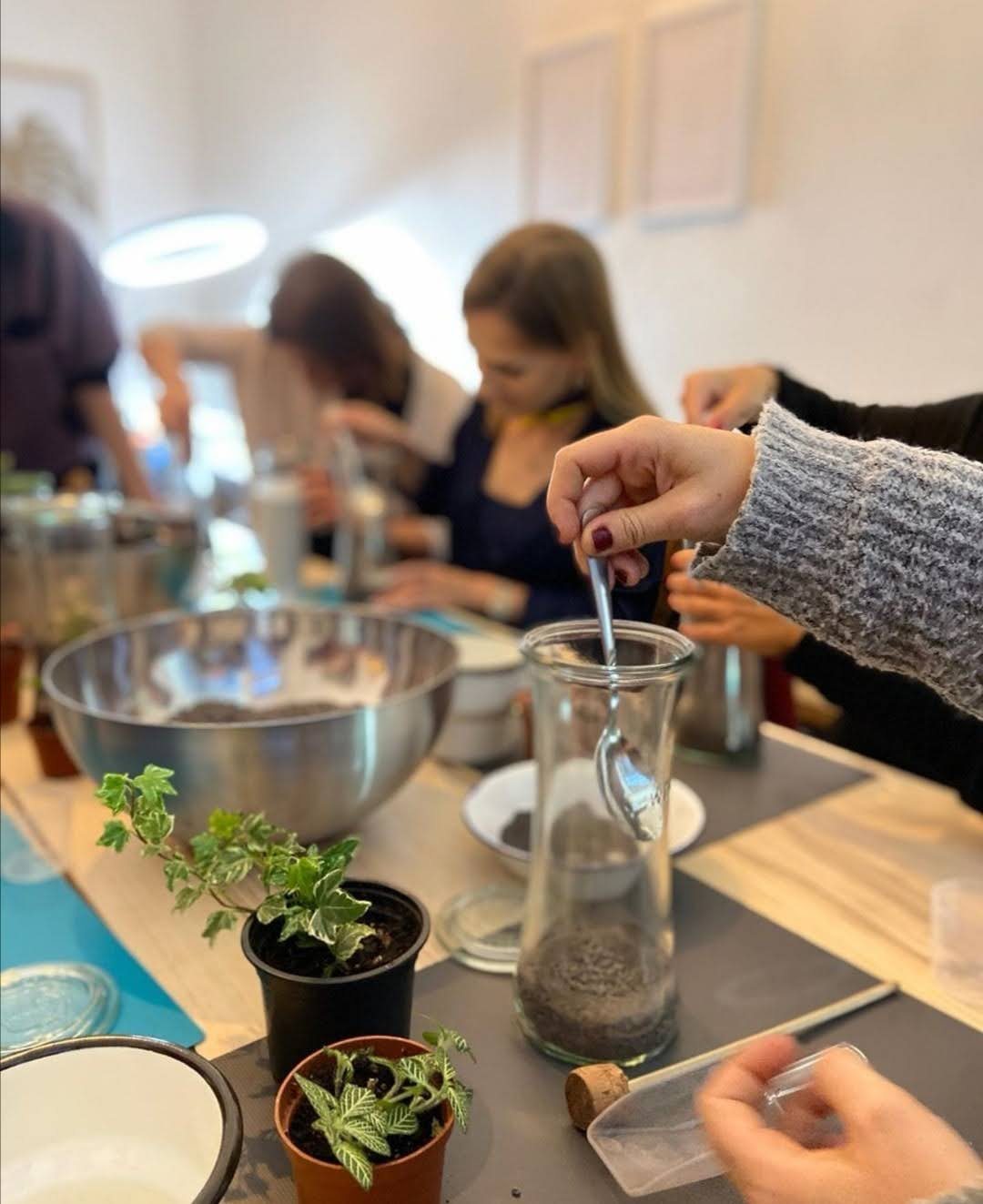 Petite Jungle — Terrarium workshops (5/8)