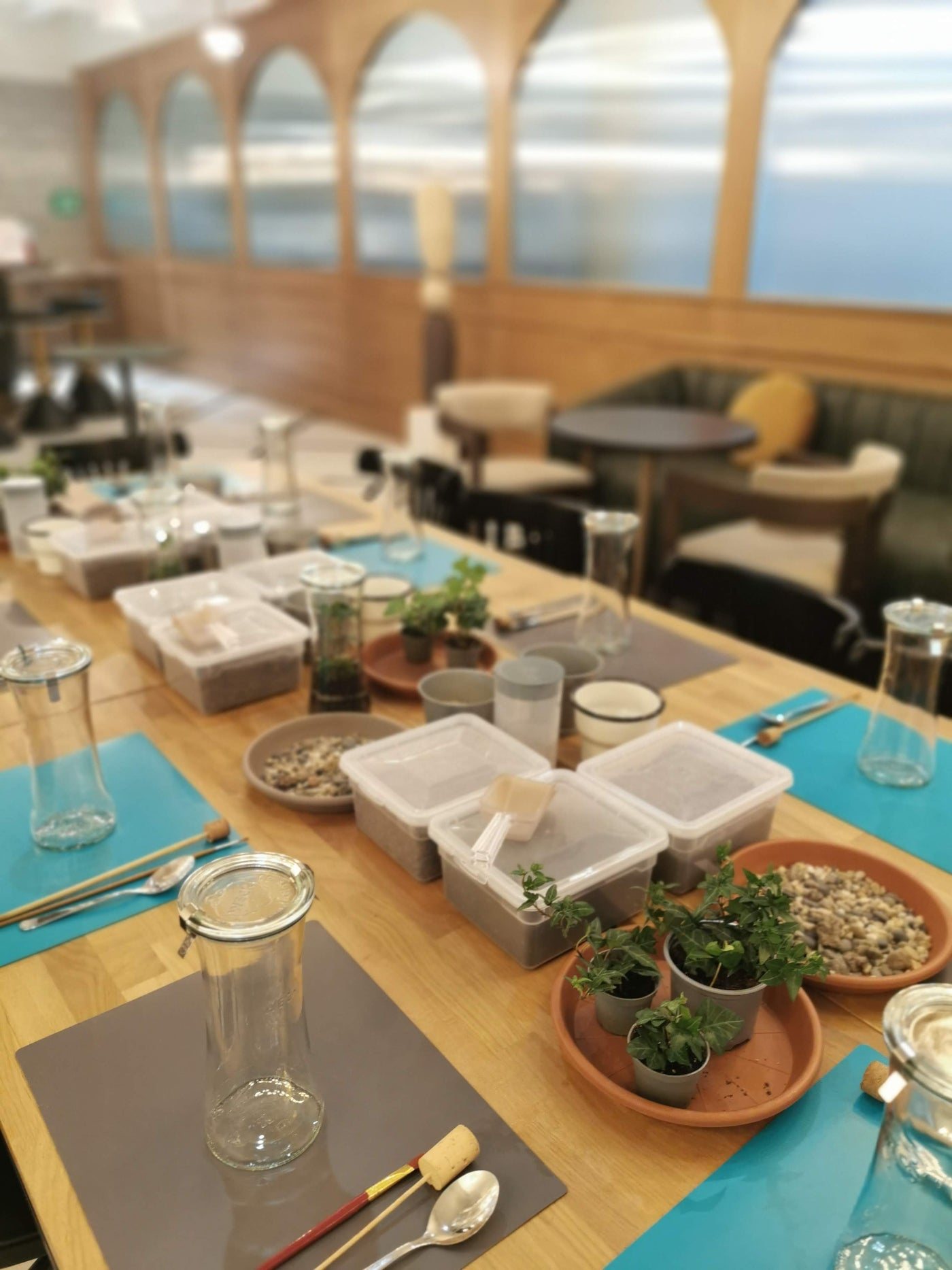 Petite Jungle — Terrarium workshops (6/8)