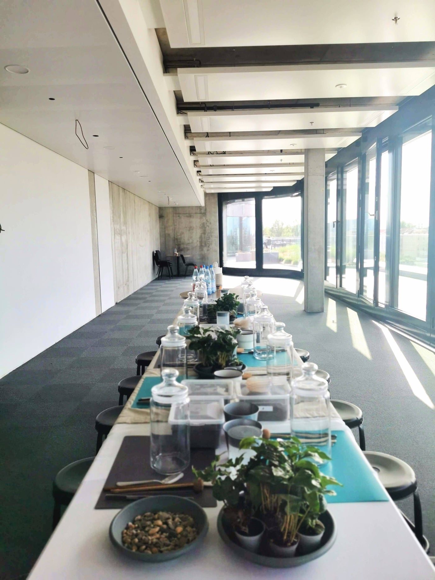 Petite Jungle — Terrarium workshops (7/8)