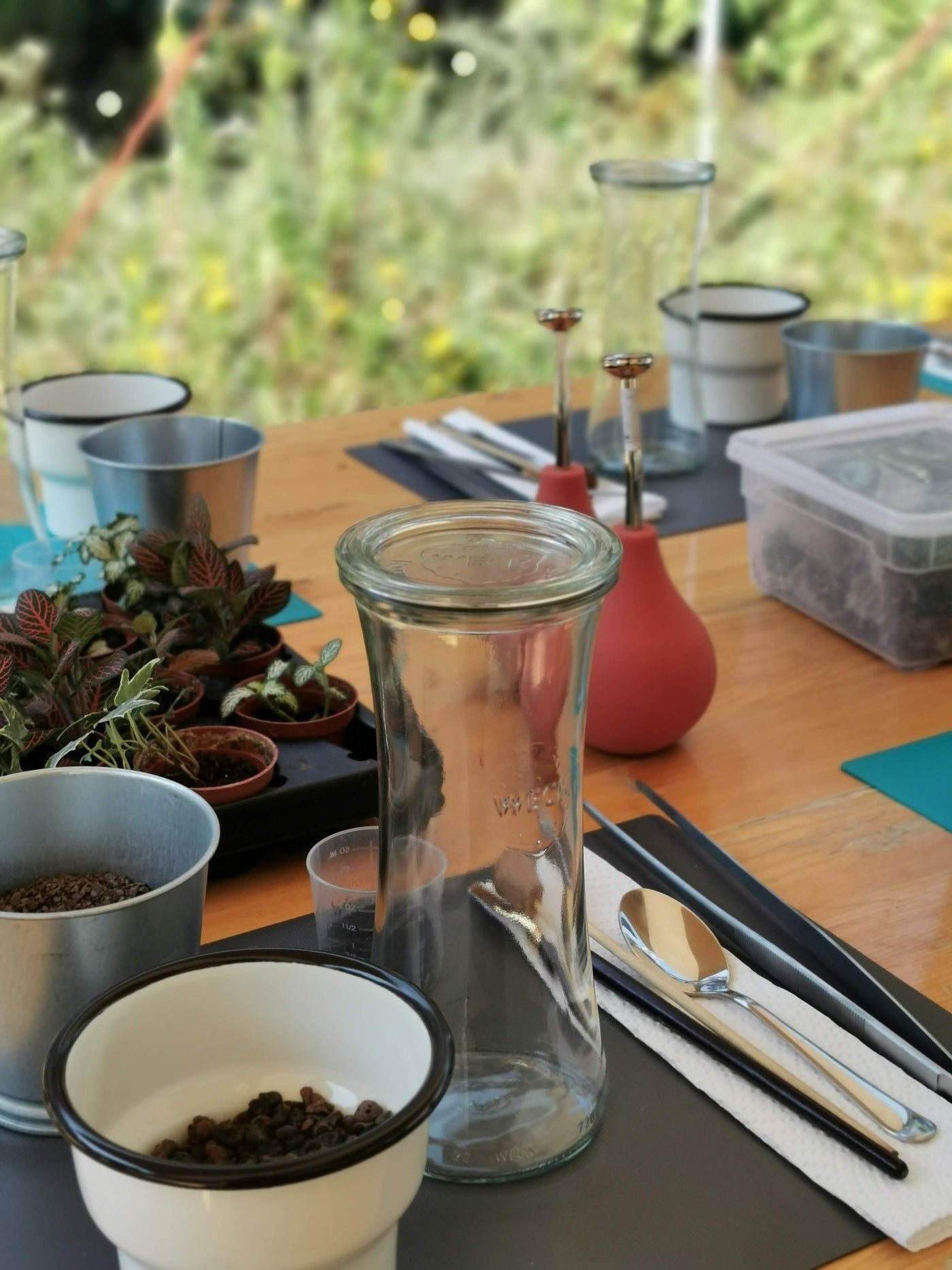 Petite Jungle — Terrarium workshops (8/8)