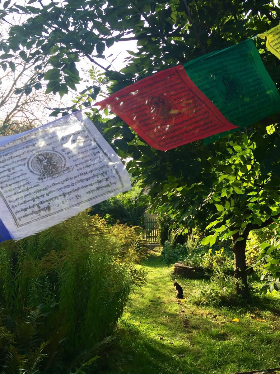 Prayer flags in the garden